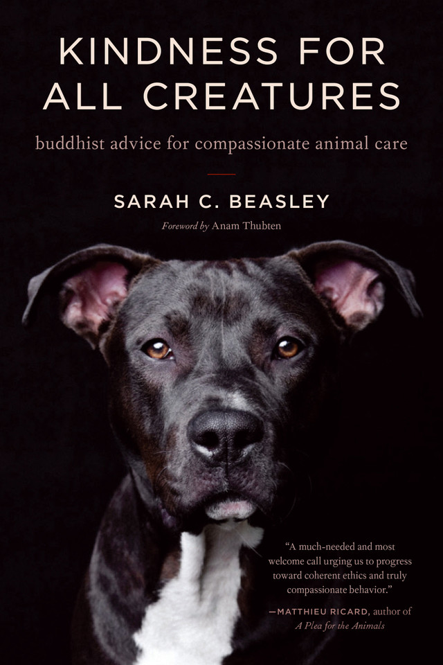 Kindness for All Creatures: Buddhist Advice for Compassionate Animal Care book cover by Sarah C. Beasley