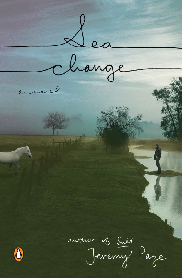 Sea Change: A Novel book cover by Jeremy Page