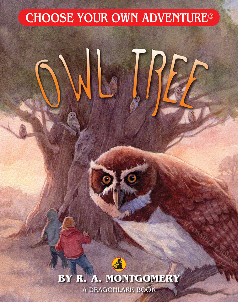 Owl Tree (Choose Your Own Adventure Jr.) book cover by R. A. Montgomery
