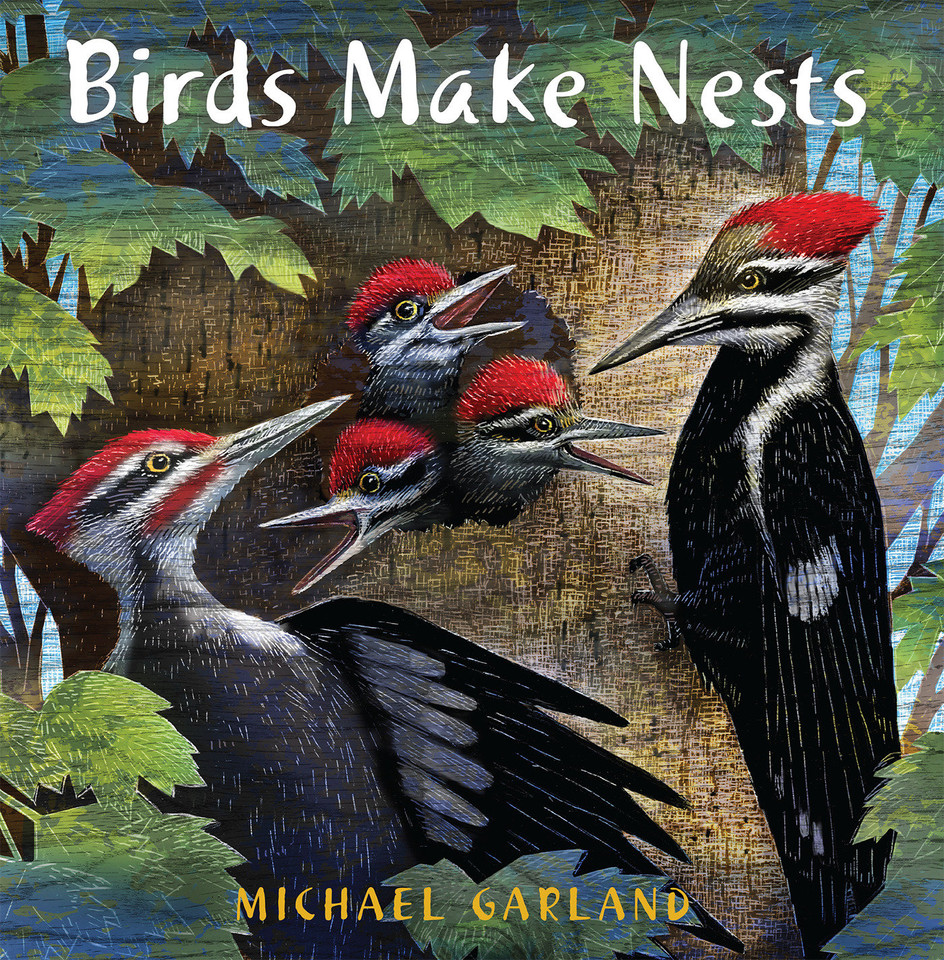 Birds Make Nests book cover by Michael Garland
