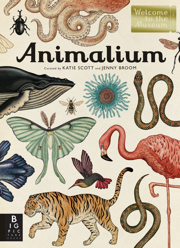 Animalium: Welcome to the Museum (Welcome to the Museum) book cover by Jenny Broom