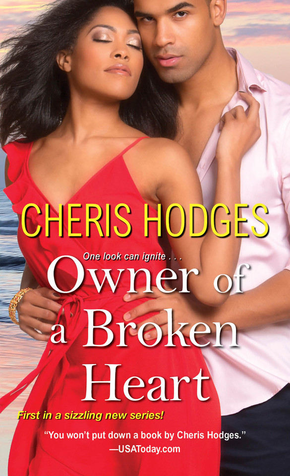 Owner of a Broken Heart (Richardson Sisters) book cover by Cheris Hodges