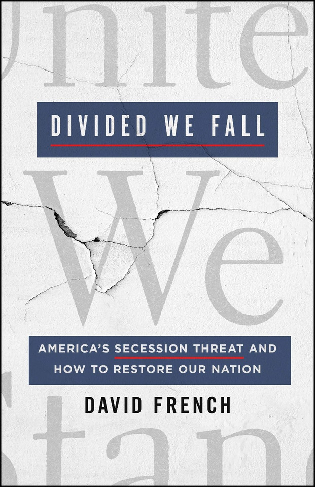 Divided We Fall: America's Secession Threat and How to Restore Our Nation [Hardcover] Cover