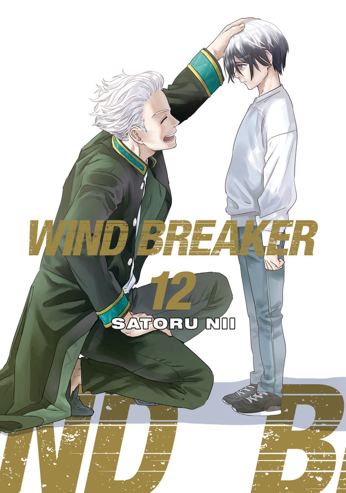 WIND BREAKER 12 (WIND BREAKER) book cover by Satoru Nii