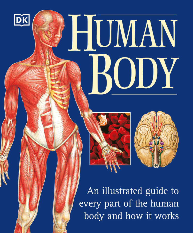 The Human Body: An Illustrated Guide to Every Part of the Human Body and How It Works book cover by Martyn Page