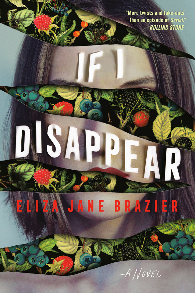 If I Disappear book cover by Eliza Jane Brazier