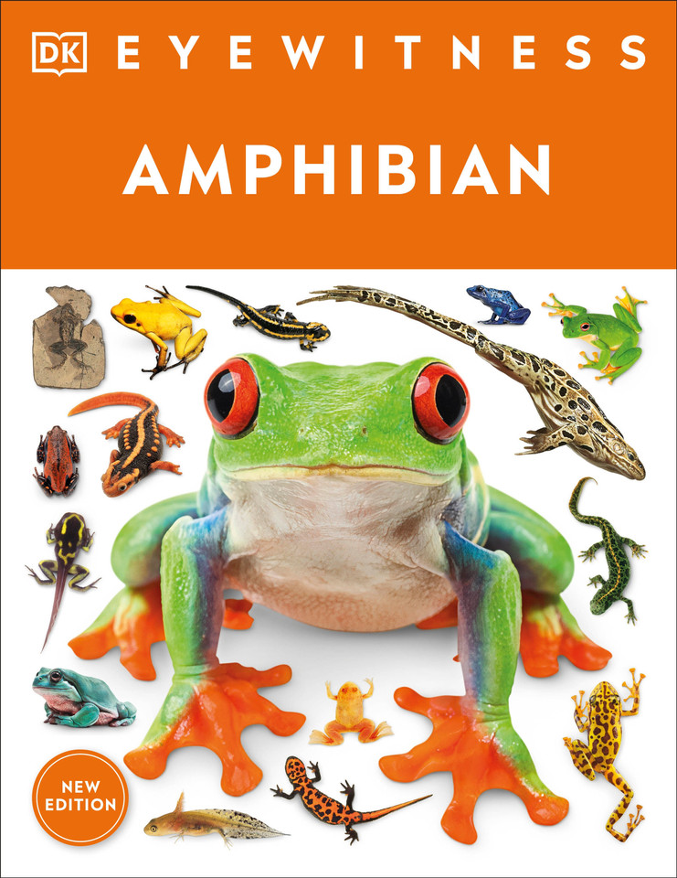 Eyewitness Amphibian (DK Eyewitness) book cover by DK