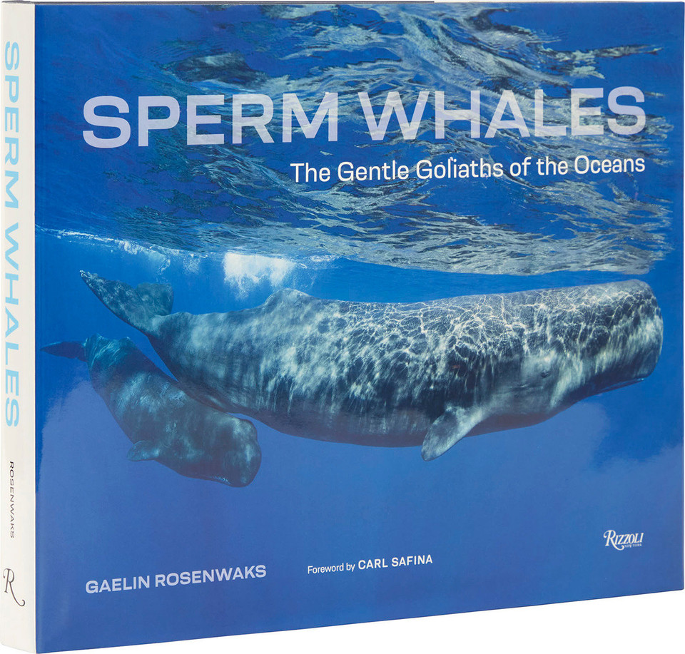 Sperm Whales: The Gentle Goliaths of the Ocean book cover by Gaelin Rosenwaks