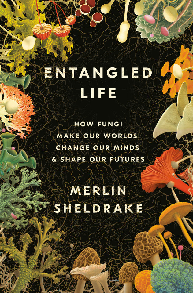 Entangled Life: How Fungi Make Our Worlds, Change Our Minds & Shape Our Futures book cover by Merlin Sheldrake