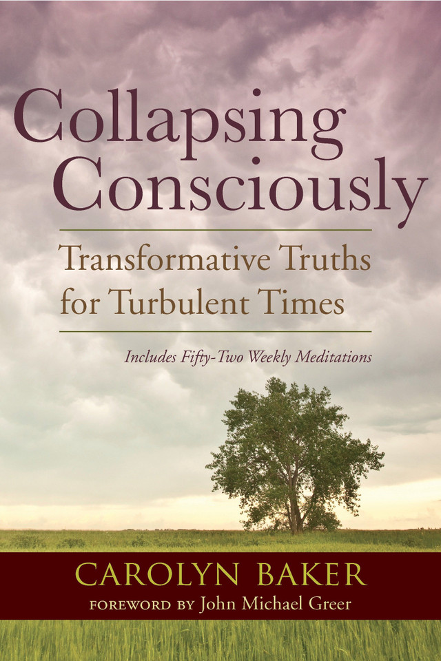 Collapsing Consciously: Transformative Truths for Turbulent Times (Sacred Activism) book cover by Carolyn Baker, Ph.D.