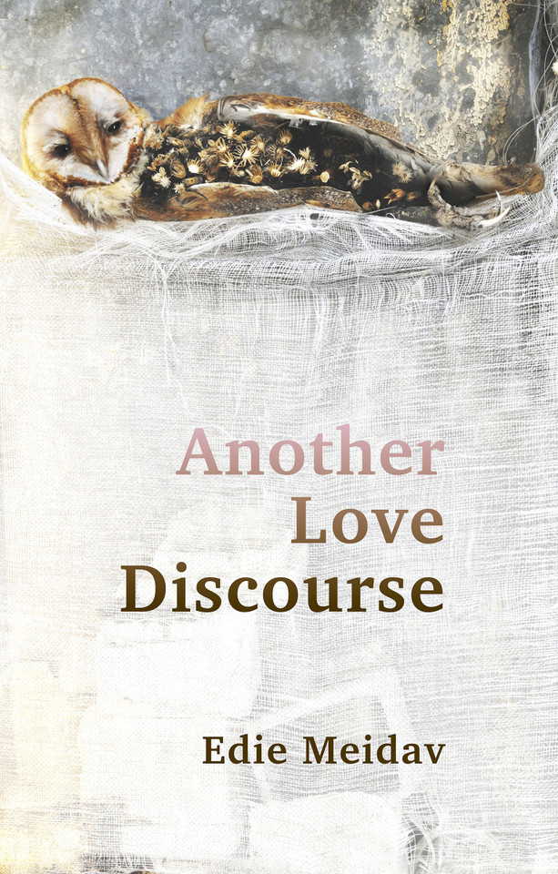 Another Love Discourse book cover by Edie Meidav