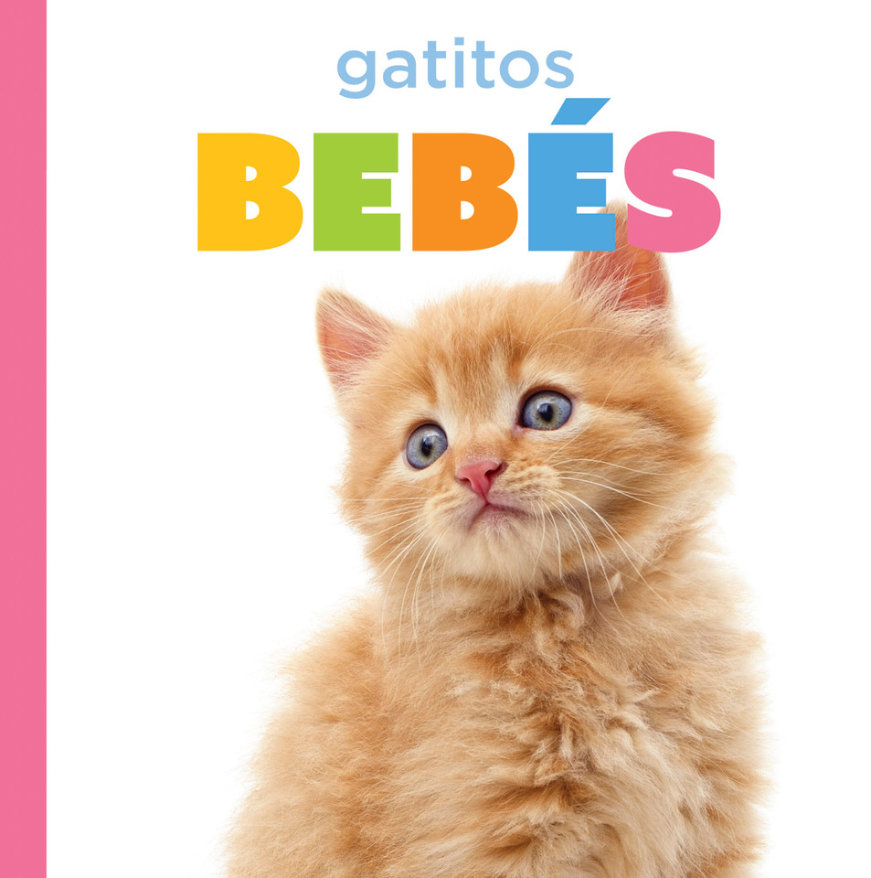 Gatitos bebés (El principio de los) book cover by Laura K. Murray