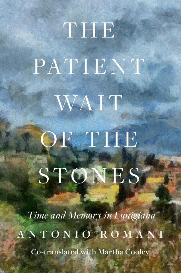 The Patient Wait of the Stones: Time and Memory in Lunigiana book cover by Antonio Romani