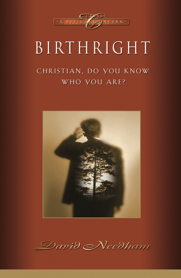 Birthright: Christian, Do You Know Who You Are? book cover by David C. Needham