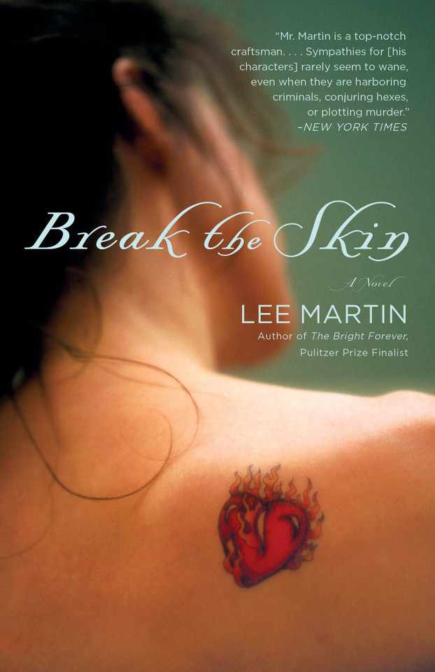 Break the Skin: A Novel book cover by Lee Martin