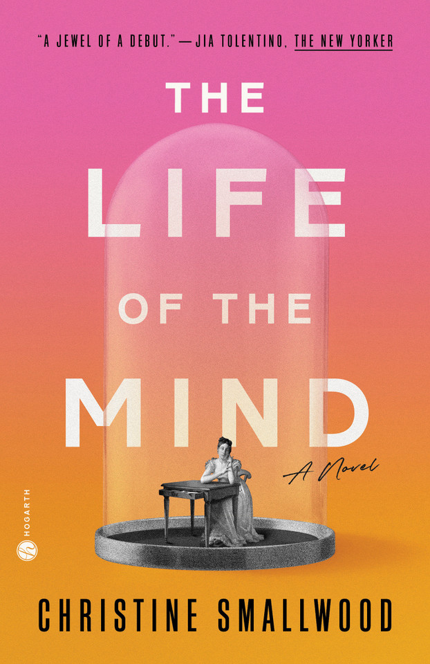 The Life of the Mind: A Novel book cover by Christine Smallwood