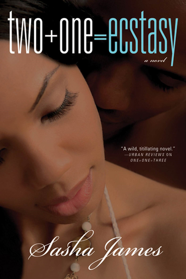 Two + One = Ecstasy: A Novel book cover by Sasha James