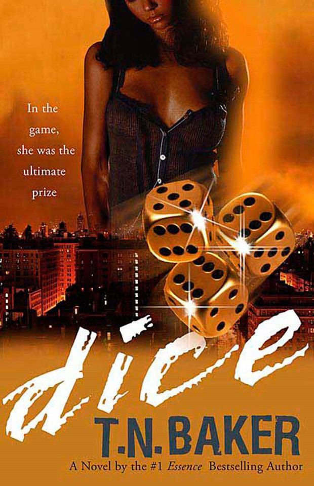 Dice book cover by T.N. Baker