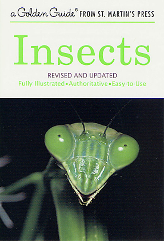 Insects: Revised and Updated book cover by Clarence Cottam, Herbert S. Zim
