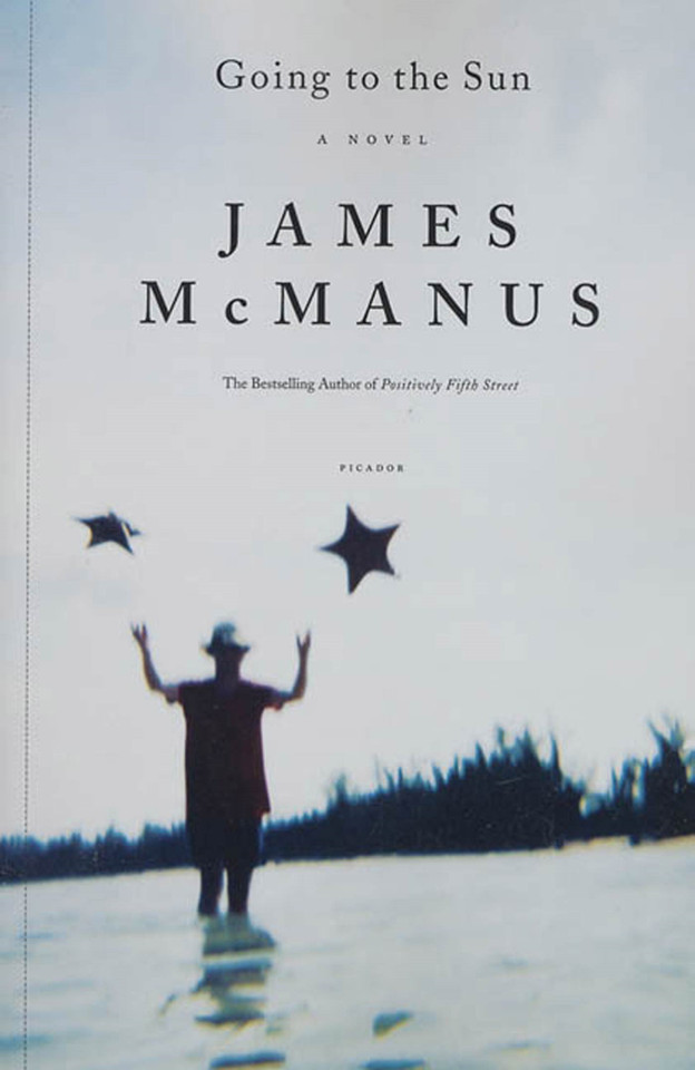 Going to the Sun: A Novel book cover by James McManus