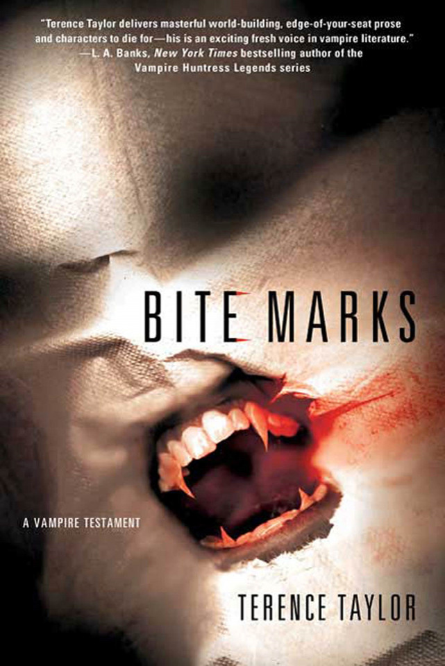 Bite Marks: A Vampire Testament (Vampire Testaments #1) book cover by Terence Taylor