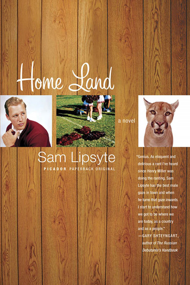 Home Land: A Novel book cover by Sam Lipsyte