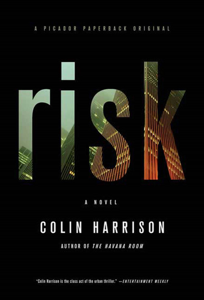 Risk: A Novel book cover by Colin Harrison