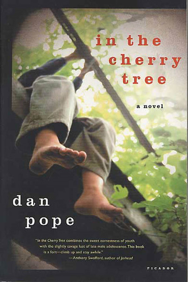 In the Cherry Tree: A Novel book cover by Dan Pope
