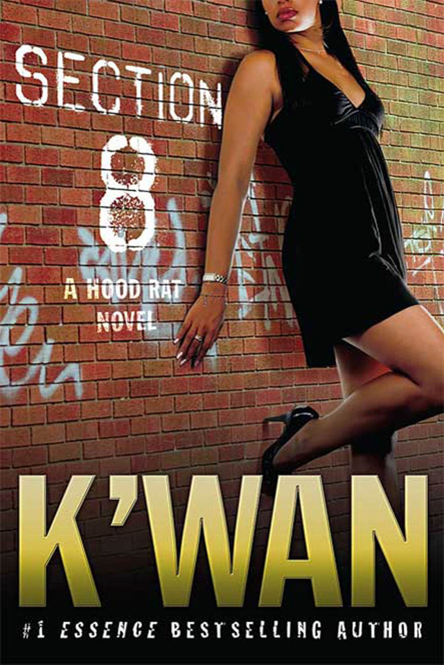 Section 8: A Hood Rat Novel (Hood Rat #3) book cover by K'wan