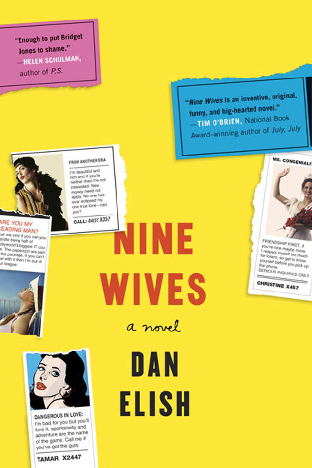 Nine Wives: A Novel book cover by Dan Elish