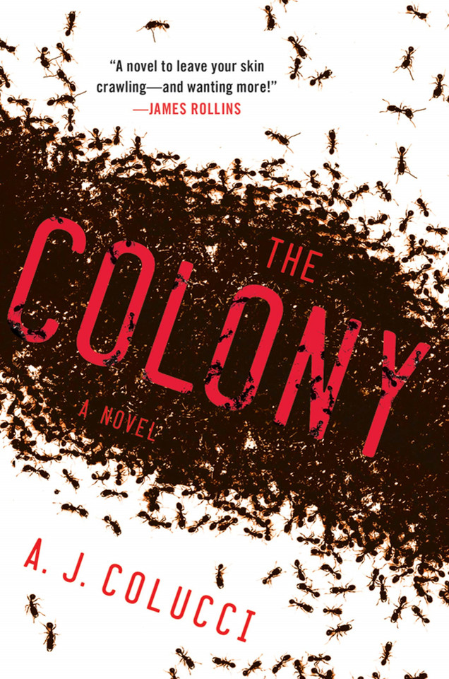 The Colony: A Novel book cover by A. J. Colucci
