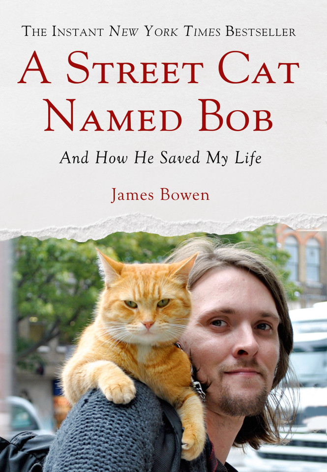 A Street Cat Named Bob: And How He Saved My Life book cover by James Bowen