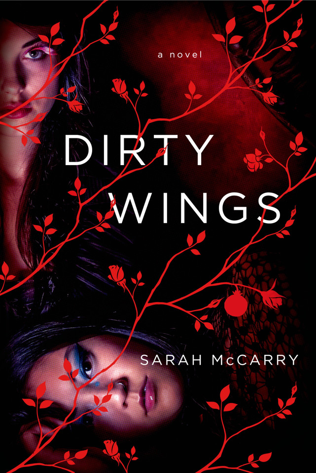 Dirty Wings: A Novel book cover by Sarah McCarry