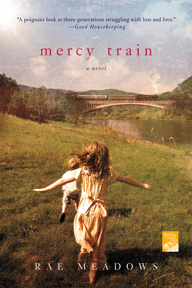 Mercy Train: A Novel book cover by Rae Meadows