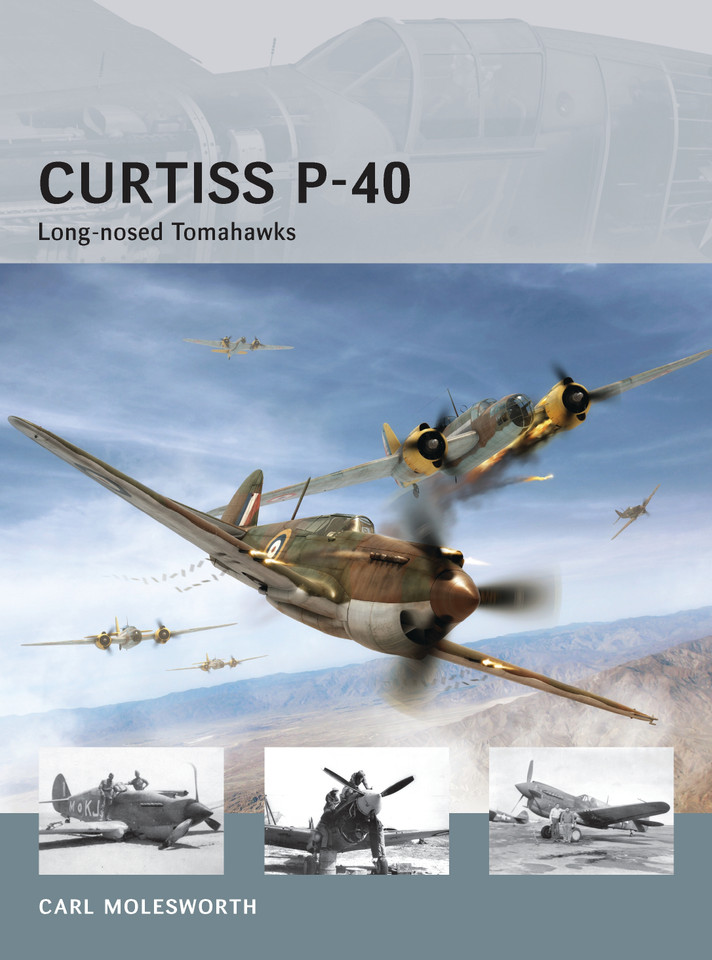 Curtiss P-40: Long-nosed Tomahawks (Air Vanguard #8) book cover by Carl Molesworth
