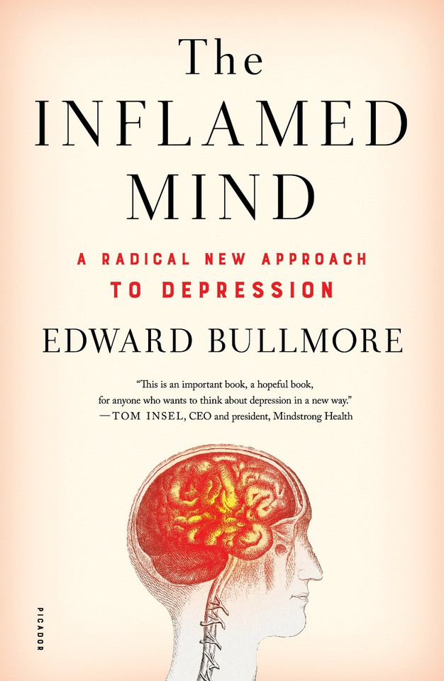 The Inflamed Mind: A Radical New Approach to Depression [Paperback] Cover