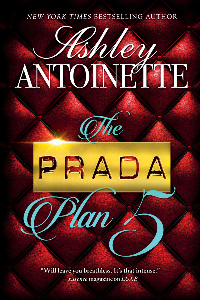 The Prada Plan 5 book cover by Ashley Antoinette