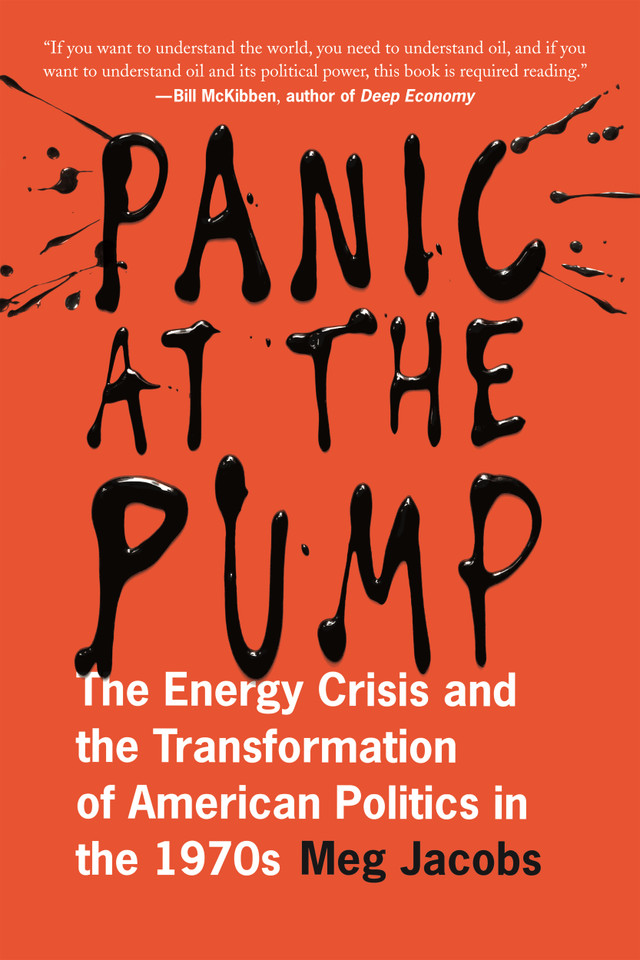 Panic at the Pump: The Energy Crisis and the Transformation of American Politics in the 1970s book cover by Meg Jacobs