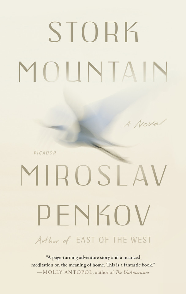 Stork Mountain: A Novel [9781250118103]