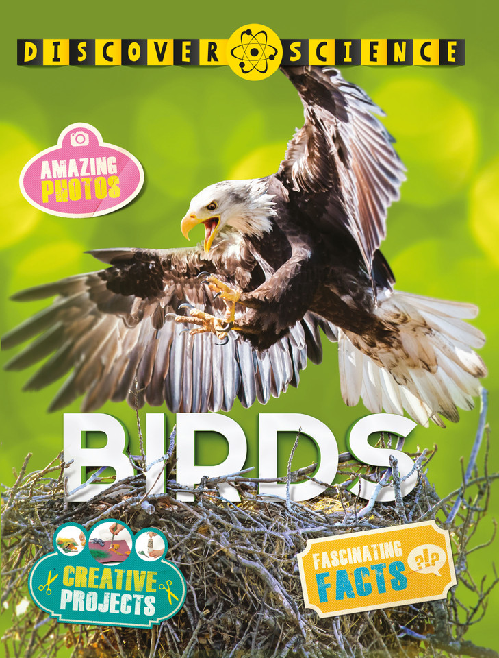 Discover Science: Birds (Discover Science) book cover by Nicola Davies