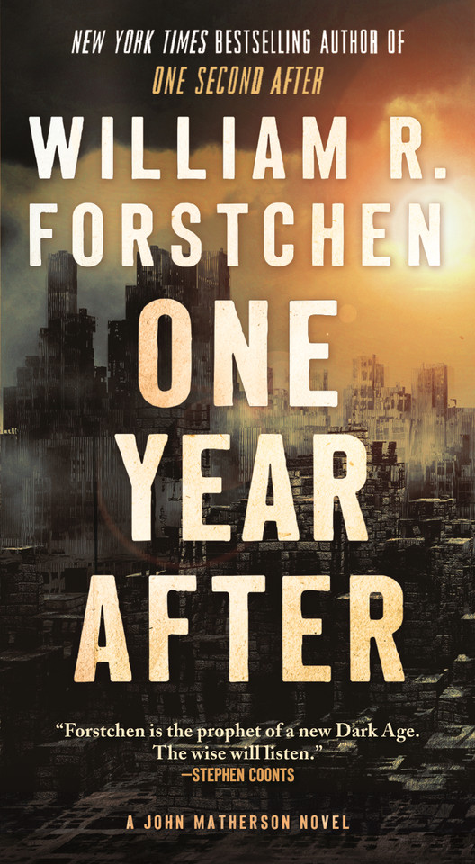 One Year After: A John Matherson Novel book cover by William R. Forstchen