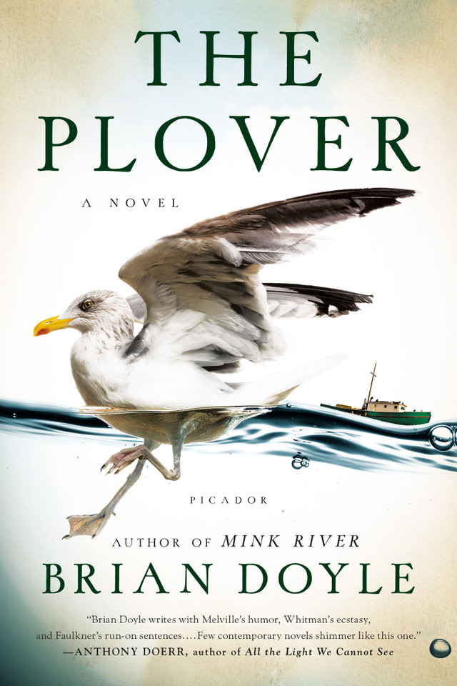 The Plover: A Novel book cover by Brian Doyle