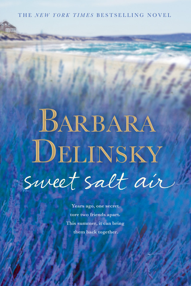 Sweet Salt Air: A Novel book cover by Barbara Delinsky