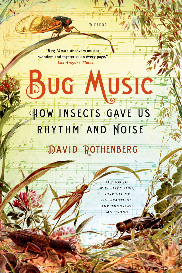 Bug Music: How Insects Gave Us Rhythm and Noise book cover by David Rothenberg
