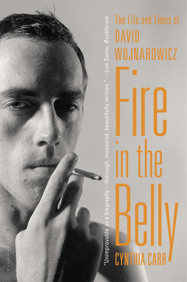 Fire in the Belly: The Life and Times of David Wojnarowicz book cover by Cynthia Carr