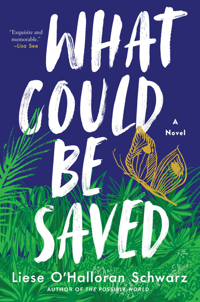 What Could Be Saved: A Novel book cover by Liese O'Halloran Schwarz