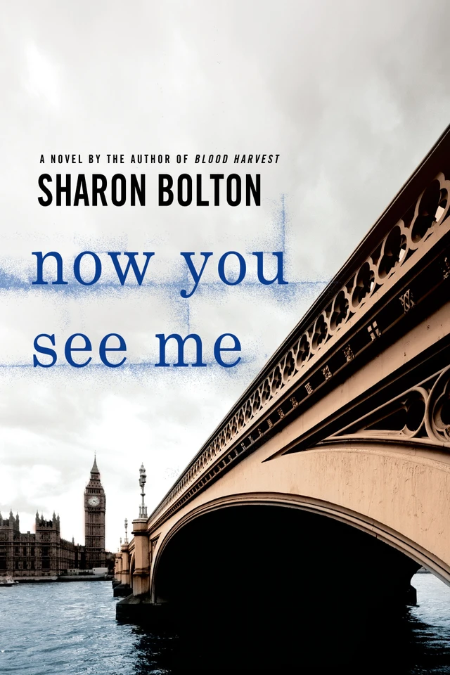 Now You See Me: A Lacey Flint Novel (Lacey Flint Novels #1) book cover by Sharon Bolton, S. J. Bolton