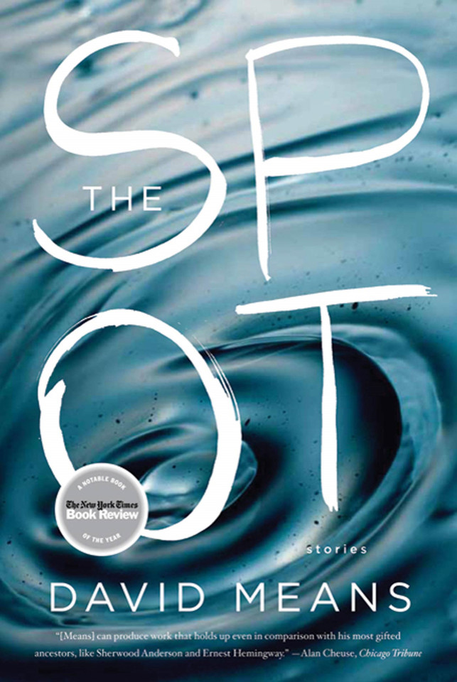 The Spot: Stories book cover by David Means