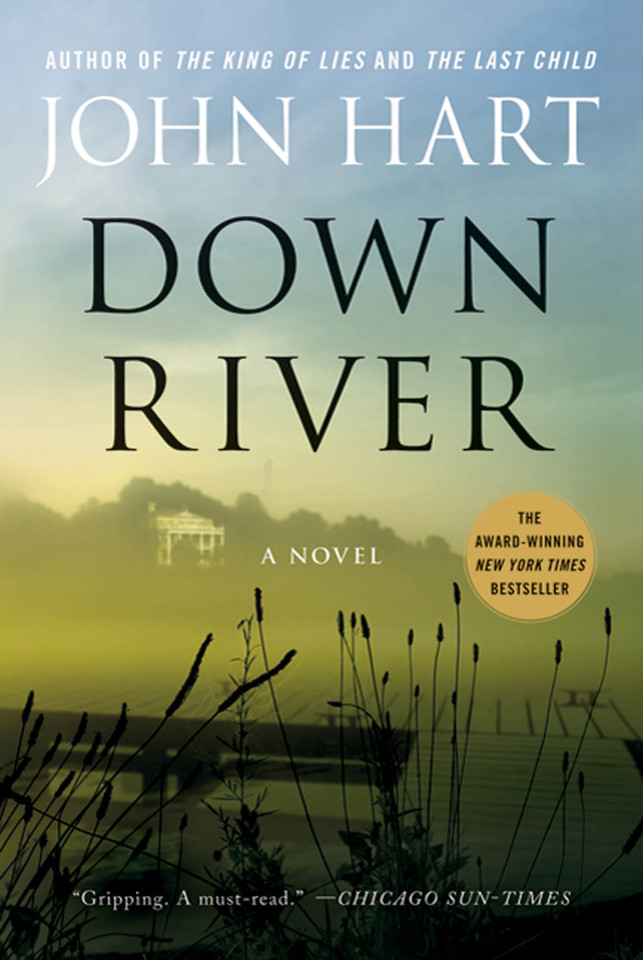 Down River: A Novel book cover by John Hart