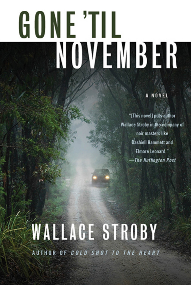Gone 'til November: A Novel book cover by Wallace Stroby